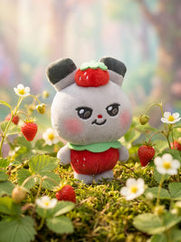[Pre-Order] MIGHTEEZ Fruit Fairy Plush Keyring