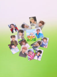 Dreamiez Random Trading Card (2pcs)
