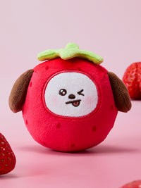 BT21 Strawberry Party Stress Ball Plush
