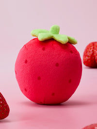 BT21 Strawberry Party Stress Ball Plush