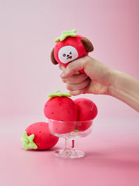 BT21 Strawberry Party Stress Ball Plush