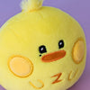 ZEROBASEONE zeroni Fluffy Face Keyring