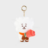 BT21 RJ SPRING DAYS Mini Doll Keyring