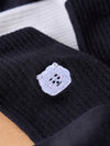 BT21 Basic Daily Ribbed Socks