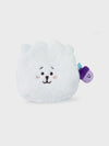 BT21 RJ HOPE IN LOVE Face Pouch