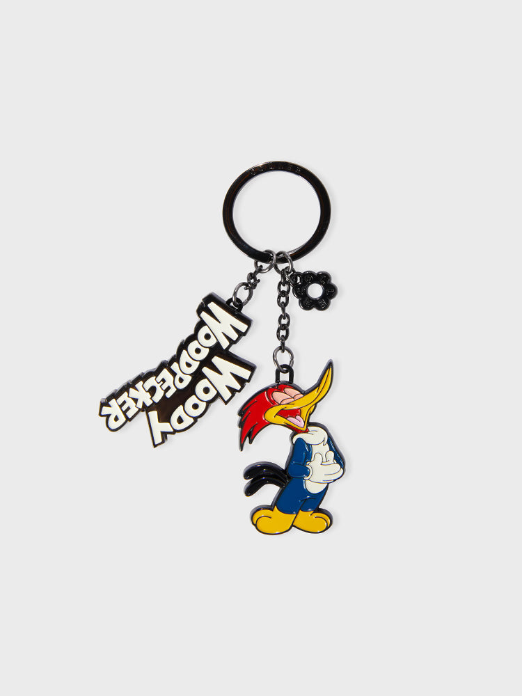 COLLER X Universal Metal Keyring