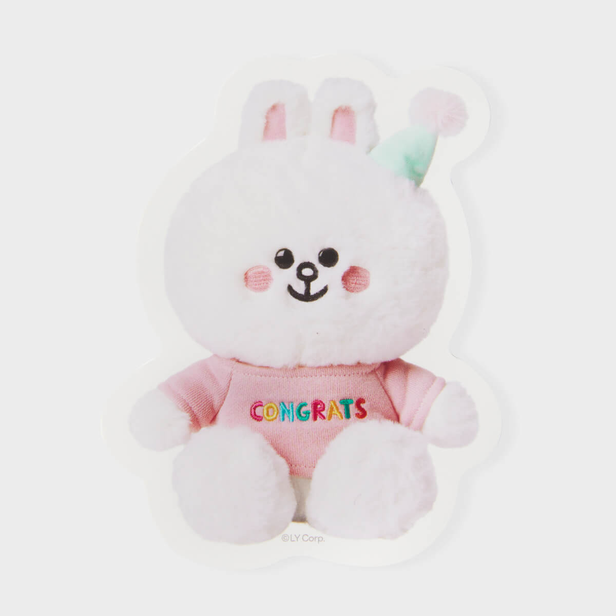 LINE FRIENDS minini conini Message Card