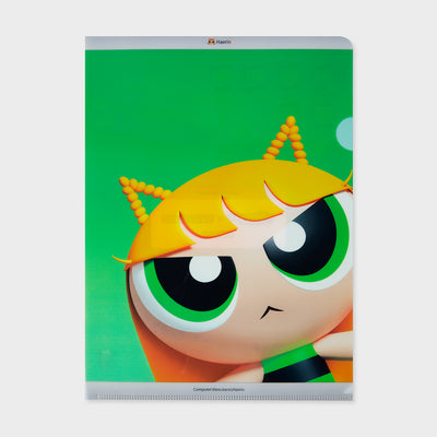 THE POWERPUFF GIRLS X NJ Plastic File Folder (HAERIN)