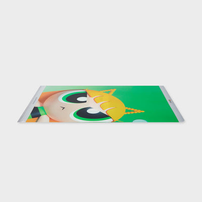 THE POWERPUFF GIRLS X NJ Plastic File Folder (HAERIN)