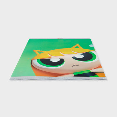 THE POWERPUFF GIRLS X NJ Plastic File Folder (HAERIN)