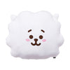 BT21 RJ Basic Face Cushion