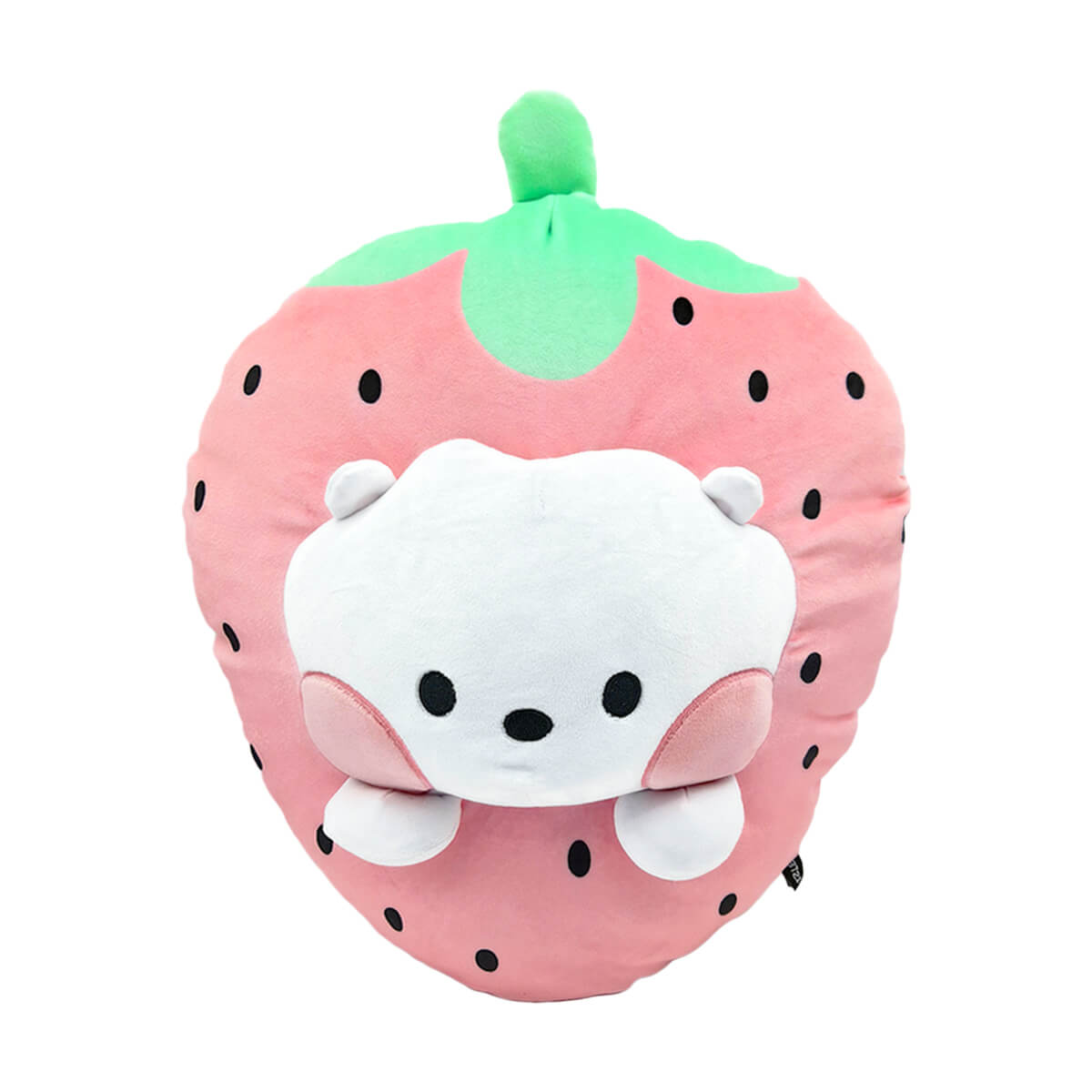 BT21 RJ Oversized Fruit Cushion