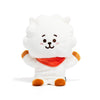 BT21 RJ Puppet Plush